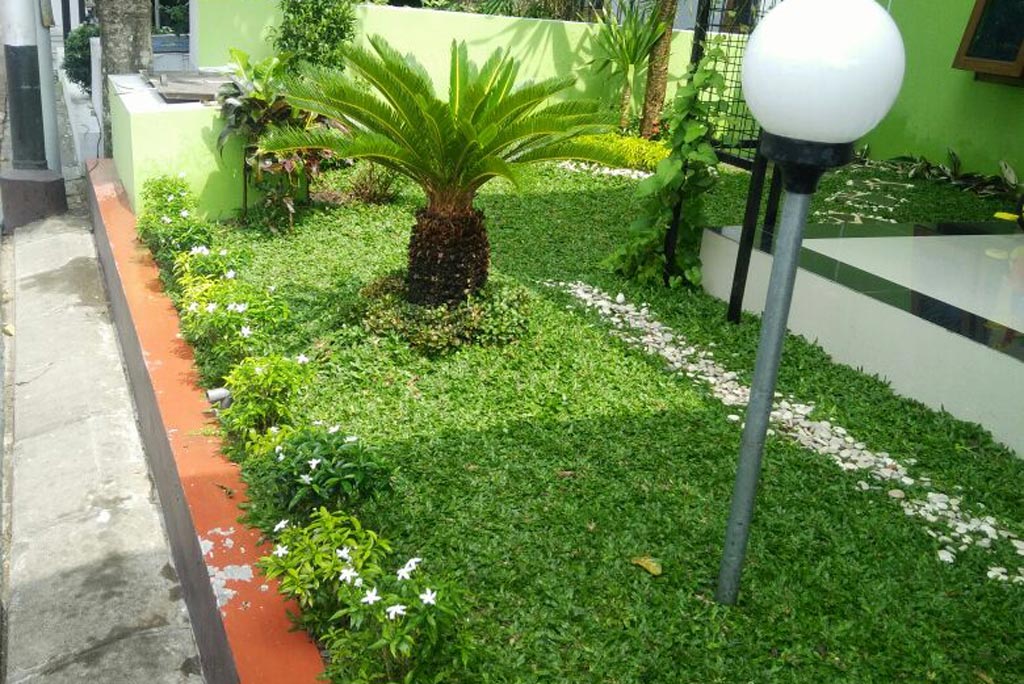 Taman Minimalis